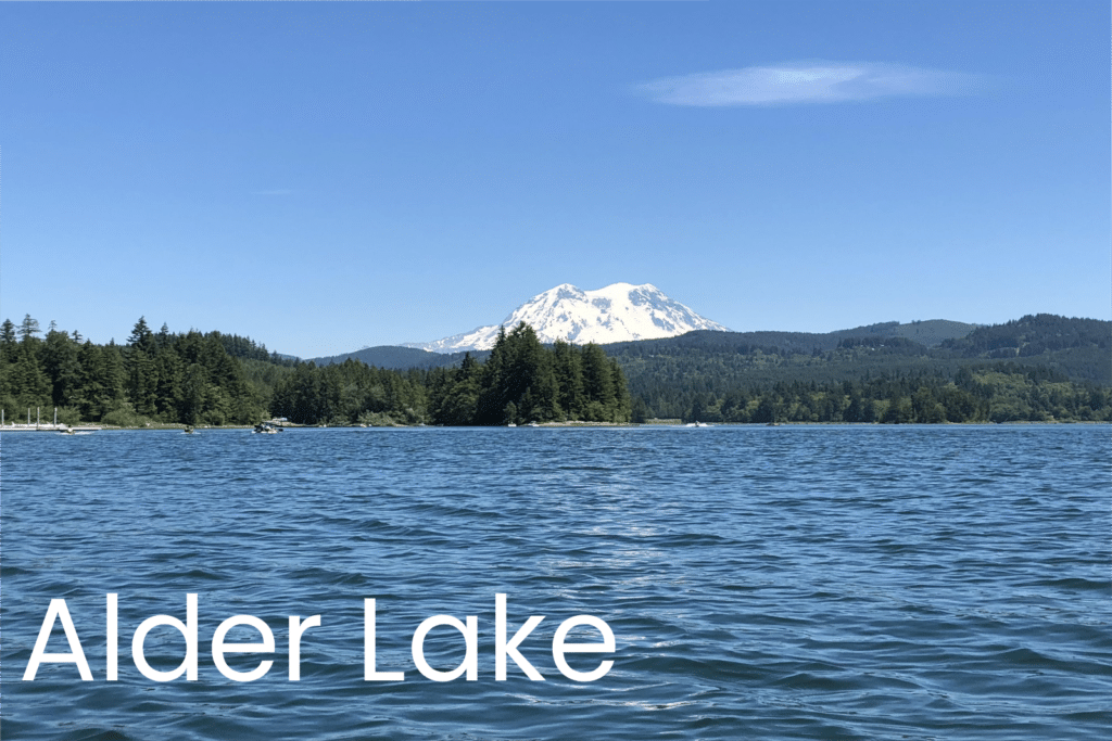 Alder Lake Jet Ski Rental