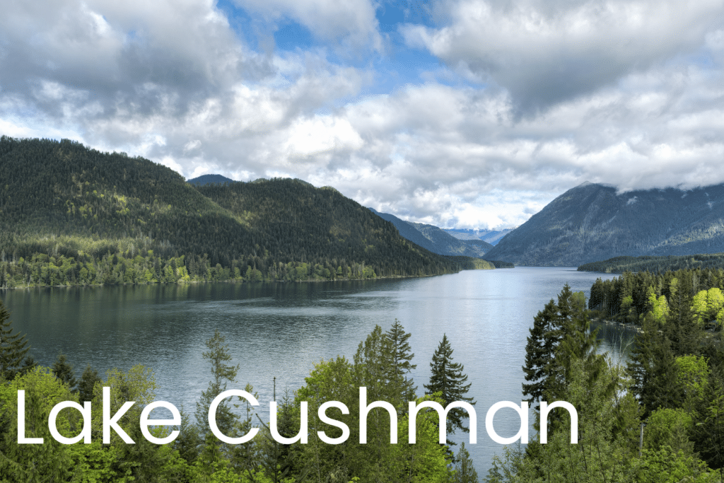 Lake Cushman Jet Ski Rental